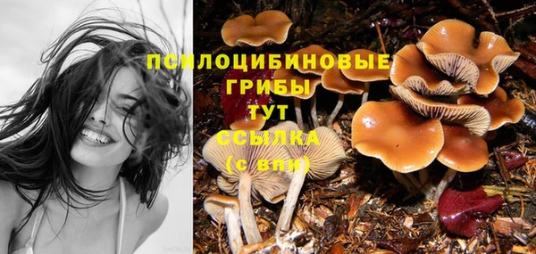 ешки Корсаков