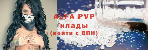 ешки Корсаков