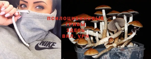 ешки Козловка