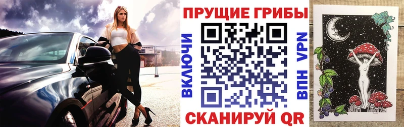 Купить закладки  Всеволожск  Псилоцибиновые грибы Magic Shrooms 